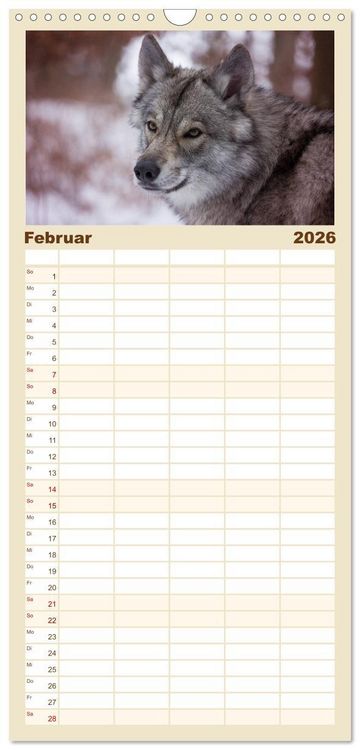 Produktbild: Familienplaner 2026 - Wolfshunde 2026 mit 5 Spalten (Wandkalender, 21 x 45 cm) CALVENDO