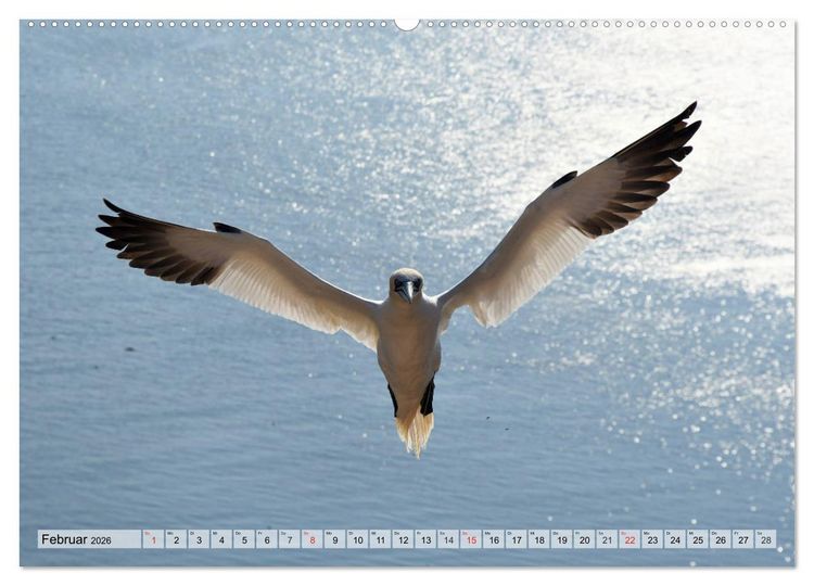 Produktbild: Sch&ouml;ne Basst&ouml;lpel (Wandkalender 2026 DIN A2 quer), CALVENDO Monatskalender