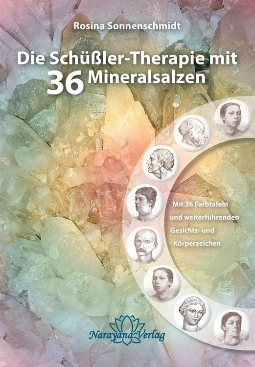 Produktbild: Die Sch&uuml;&szlig;ler-Therapie mit 36 Mineralsalzen