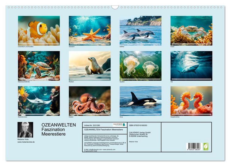 Produktbild: OZEANWELTEN Faszination Meerestiere (Wandkalender 2026 DIN A2 quer), CALVENDO Monatskalender