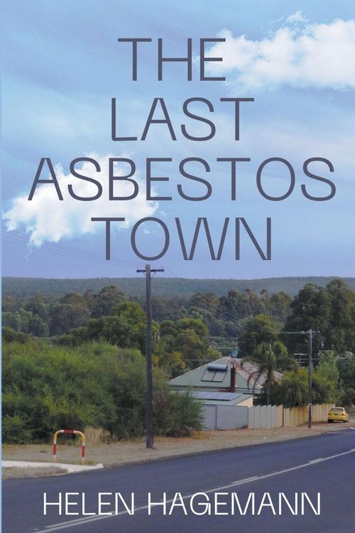 Produktbild: The Last Asbestos Town