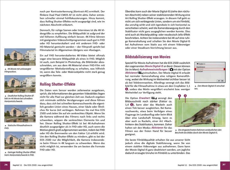 Produktbild: Canon EOS 200D / 250D
