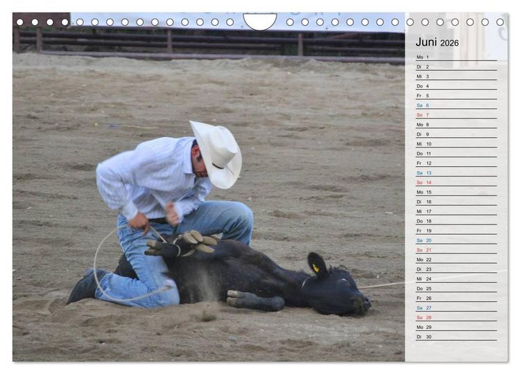 Produktbild: Faszination Rodeo (Wandkalender 2026 DIN A4 quer), CALVENDO Monatskalender