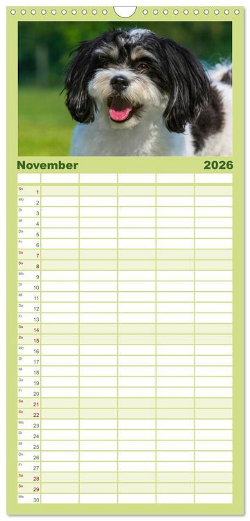 Produktbild: Familienplaner 2026 - Havaneser - Herz auf 4 Pfoten mit 5 Spalten (Wandkalender, 21 x 45 cm) CALVENDO