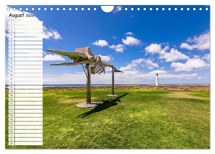 Produktbild: FUERTEVENTURA Geburtstagskalender mit Planerfunktion (Wandkalender 2026 DIN A4 quer), CALVENDO Monatskalender