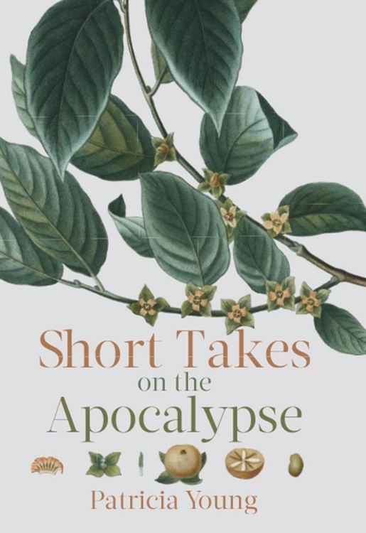 Produktbild: Short Takes on the Apocalypse