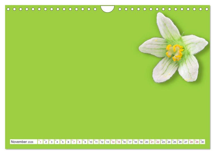Produktbild: DIY POESIE - BASTELKALENDER (Wandkalender 2026 DIN A4 quer), CALVENDO Monatskalender