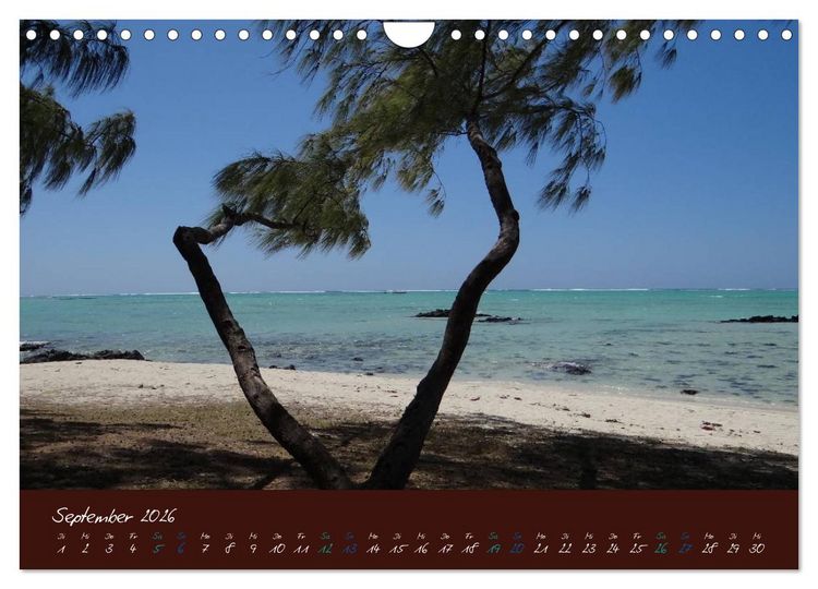 Produktbild: Indische Perle - Mauritius (Wandkalender 2026 DIN A4 quer), CALVENDO Monatskalender
