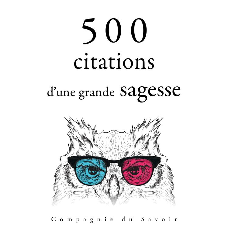 Produktbild: 500 citations d'une grande sagesse