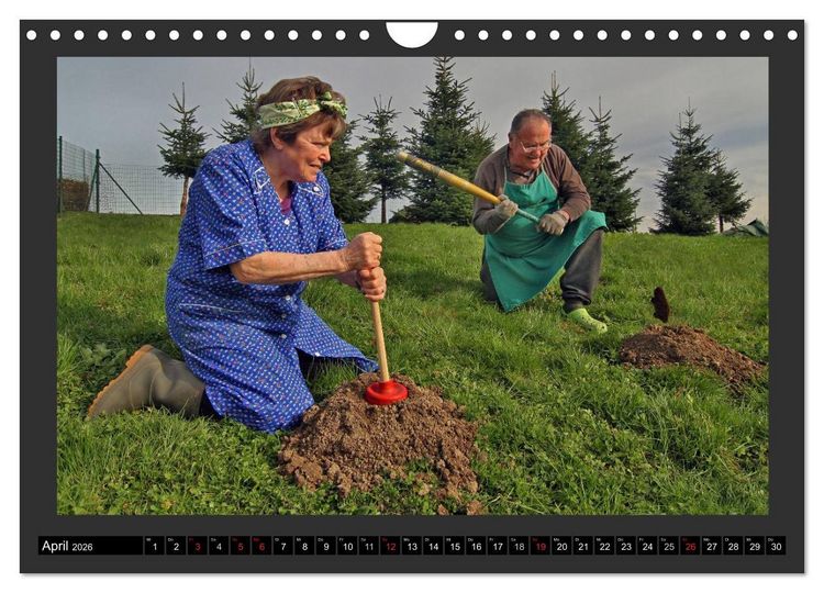 Produktbild: GSCHEIT BLED - Humorfotografie (Wandkalender 2026 DIN A4 quer), CALVENDO Monatskalender