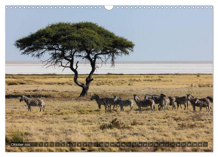 Produktbild: Wildes Namibia (Wandkalender 2026 DIN A3 quer), CALVENDO Monatskalender