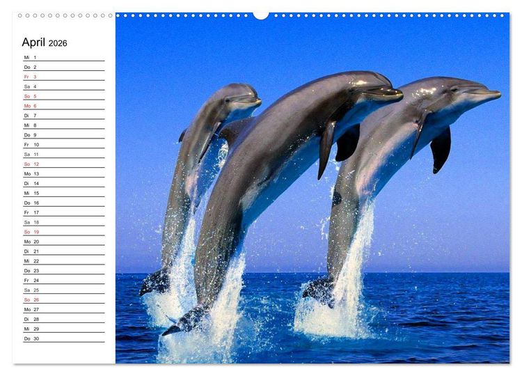 Produktbild: Delfine - L&auml;chelnde Intelligenz (hochwertiger Premium Wandkalender 2026 DIN A2 quer), Kunstdruck in Hochglanz