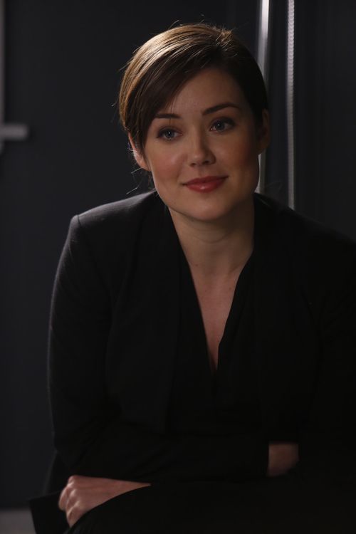 The Blacklist - Season 1 [6 DVDs]