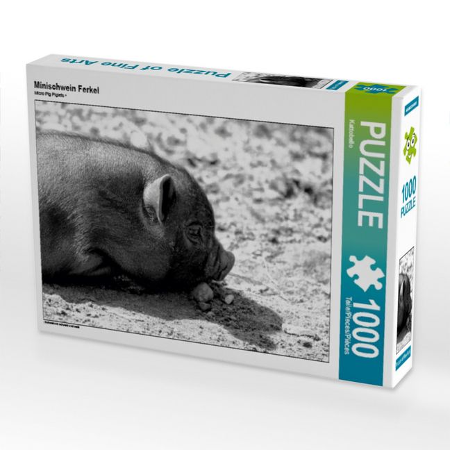 Produktbild: CALVENDO Puzzle Minischwein Ferkel | 1000 Teile Lege-Gr&ouml;&szlig;e 64x48cm Foto-Puzzle f&uuml;r gl&uuml;ckliche Stunden