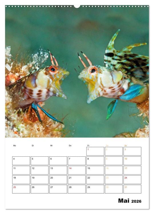 Produktbild: Farbrausch unter Wasser: Fische am Riff (hochwertiger Premium Wandkalender 2026 DIN A2 hoch), Kunstdruck in Hochglanz