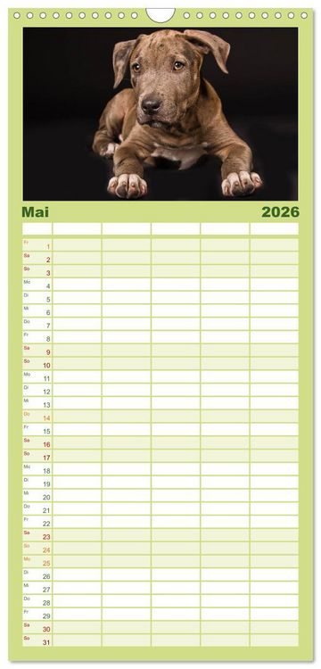 Produktbild: Familienplaner 2026 - American Staff und Co. mit 5 Spalten (Wandkalender, 21 x 45 cm) CALVENDO