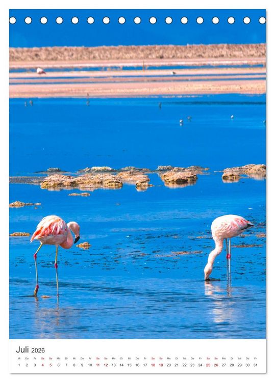 Produktbild: Chile - Ein unentdecktes Paradies. (Tischkalender 2026 DIN A5 hoch), CALVENDO Monatskalender