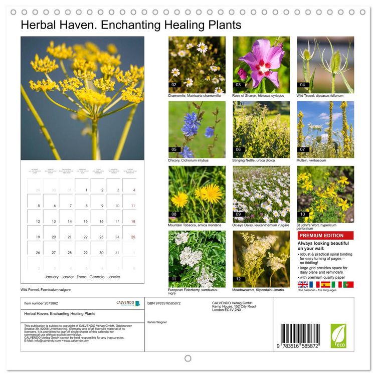 Produktbild: Herbal Haven. Enchanting Healing Plants (Wall Calendar 2026 12 &times; 12 Inch) CALVENDO 12 Month Wall Calendar