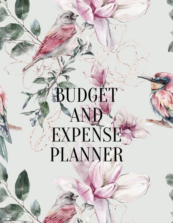Produktbild: Budget and expense planner