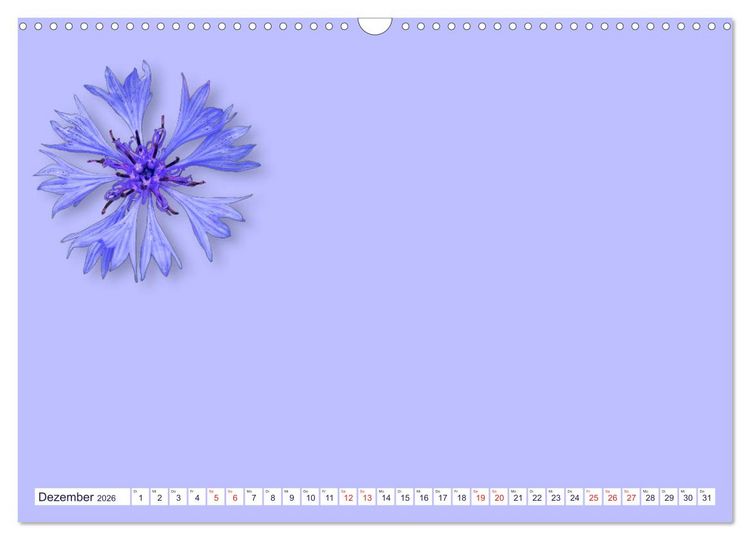 Produktbild: DIY POESIE - BASTELKALENDER (Wandkalender 2026 DIN A3 quer), CALVENDO Monatskalender