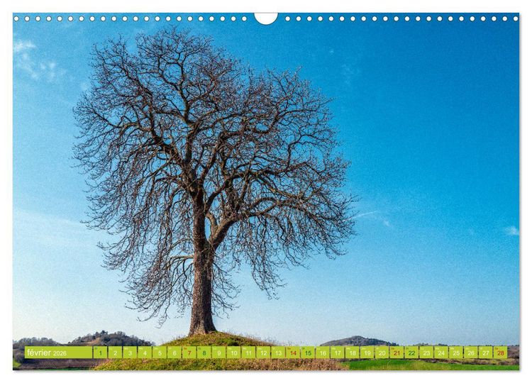 Produktbild: Solitude verdoyante (Calendrier mural 2026 DIN A3 vertical), CALVENDO calendrier mensuel