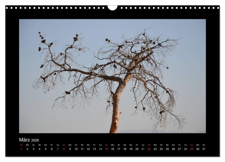Produktbild: IRAN 2026 (Wandkalender 2026 DIN A3 quer), CALVENDO Monatskalender