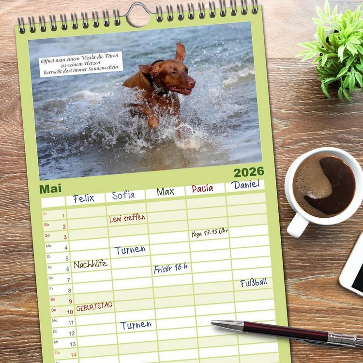 Produktbild: Familienplaner 2026 - Magyar Vizsla - Zauberhafte Kobolde mit 5 Spalten (Wandkalender, 21 x 45 cm) CALVENDO