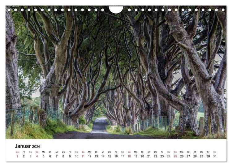 Produktbild: Irland wie gemalt (Wandkalender 2026 DIN A4 quer), CALVENDO Monatskalender