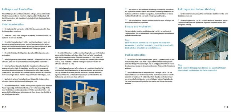 Produktbild: Krippen zum Selberbauen. Von alpenl&auml;ndisch bis orientalisch (Werkstatt)