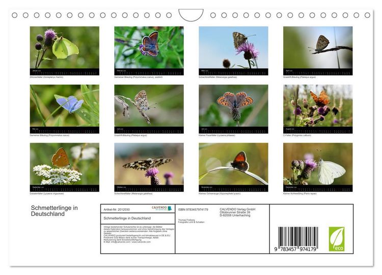 Produktbild: Schmetterlinge in Deutschland (Wandkalender 2026 DIN A4 quer), CALVENDO Monatskalender