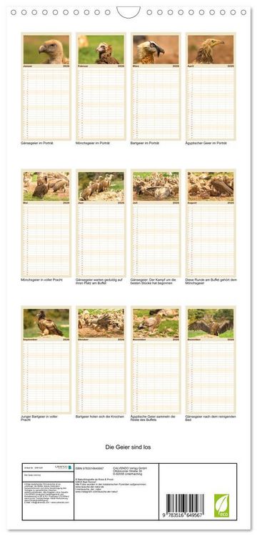 Produktbild: Familienplaner 2026 - Die Geier sind los mit 5 Spalten (Wandkalender, 21 x 45 cm) CALVENDO