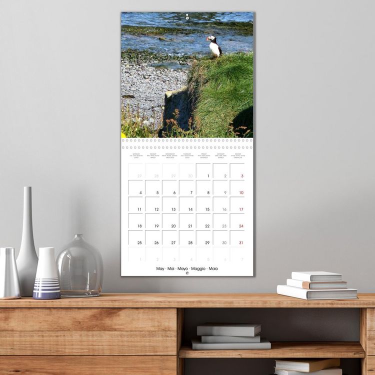 Produktbild: Puffin Pals (Wall Calendar 2026 12 &times; 12 Inch) CALVENDO 12 Month Wall Calendar