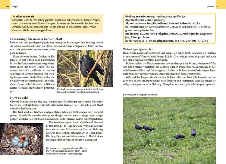 Produktbild: Wildtiere am Haus