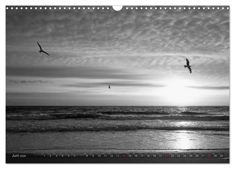 Produktbild: 54&deg;54'57"N 8&deg;19'51"E SYLT (Wandkalender 2026 DIN A3 quer), CALVENDO Monatskalender