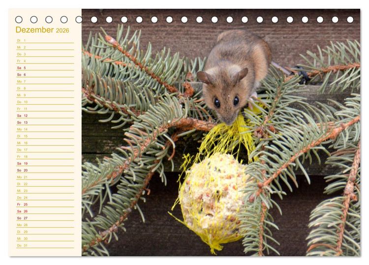 Produktbild: Gr&uuml;sse von der Maus! (Tischkalender 2026 DIN A5 quer), CALVENDO Monatskalender