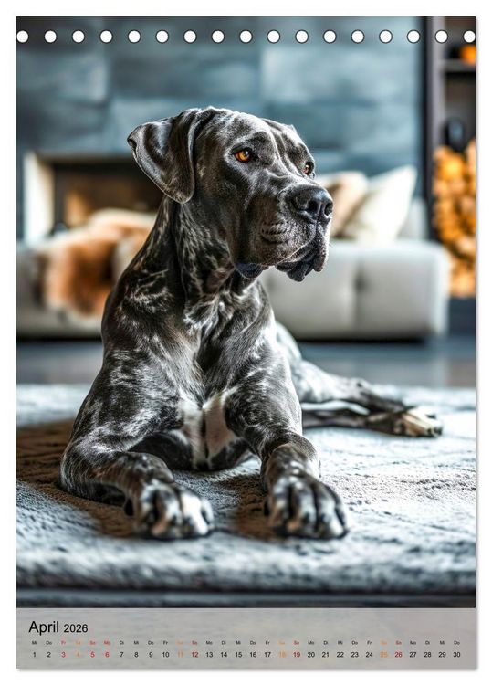 Produktbild: Deutsche Dogge - freundlicher Riese (Tischkalender 2026 DIN A5 hoch), CALVENDO Monatskalender