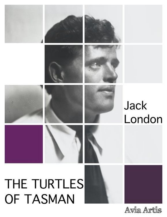 Produktbild: The Turtles of Tasman