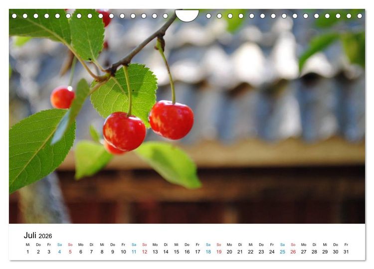 Produktbild: Schweden (Wandkalender 2026 DIN A4 quer), CALVENDO Monatskalender