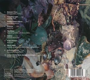 Produktbild: Kristine Tjogersen: Between Trees