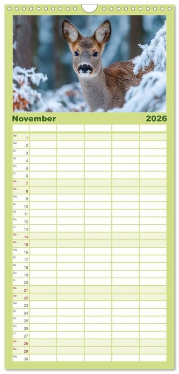 Produktbild: Familienplaner 2026 - HIRSCHE UND REHE - Ein Jahr in freier Wildbahn mit 5 Spalten (Wandkalender, 21 x 45 cm) CALVENDO