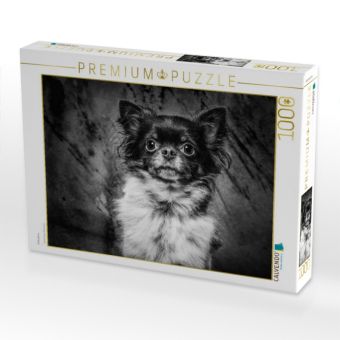 Produktbild: CALVENDO Puzzle Chihuahua | 1000 Teile Lege-Gr&ouml;&szlig;e 64x48cm Foto-Puzzle f&uuml;r gl&uuml;ckliche Stunden
