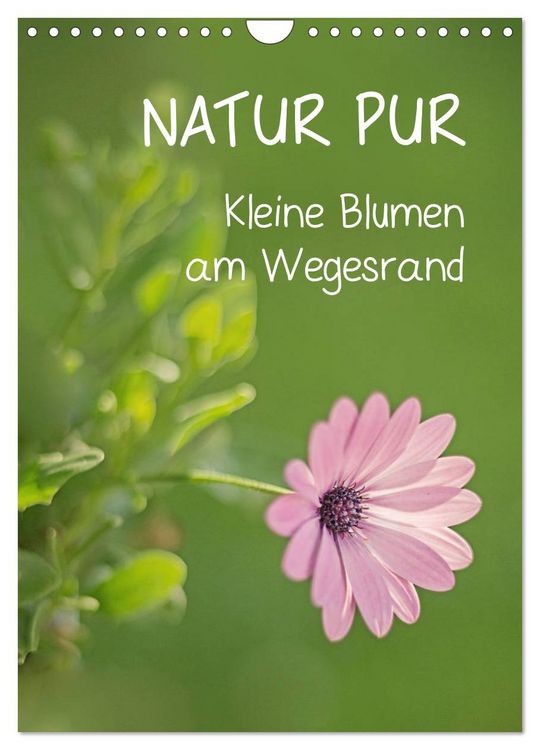 Produktbild: NATUR PUR Kleine Blumen am Wegesrand (Wandkalender 2026 DIN A4 hoch), CALVENDO Monatskalender