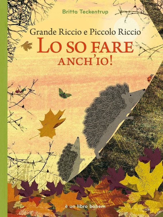 Produktbild: Grande riccio e piccolo riccio. Lo so fare anch'io!