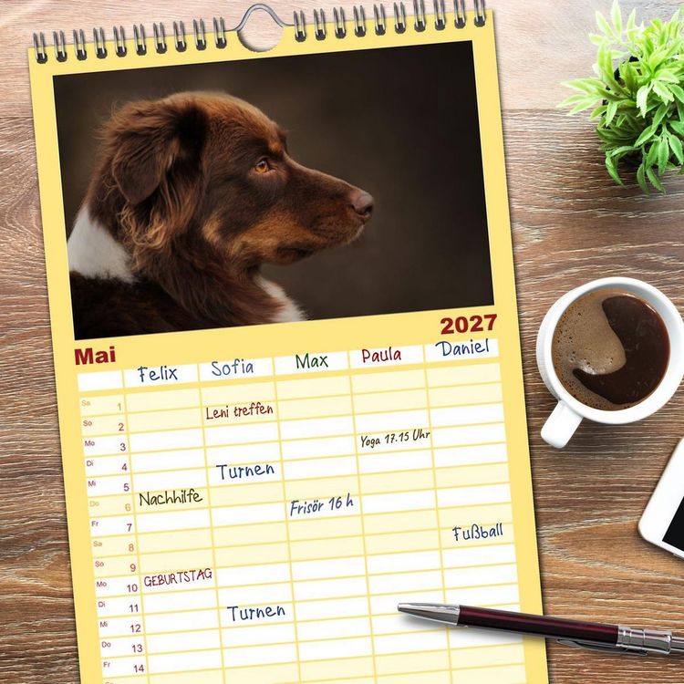 Produktbild: Familienplaner 2027 - Australian Shepherd - Treue Blicke, wilde Herzen mit 5 Spalten (Wandkalender, 21 x 45 cm) CALVENDO