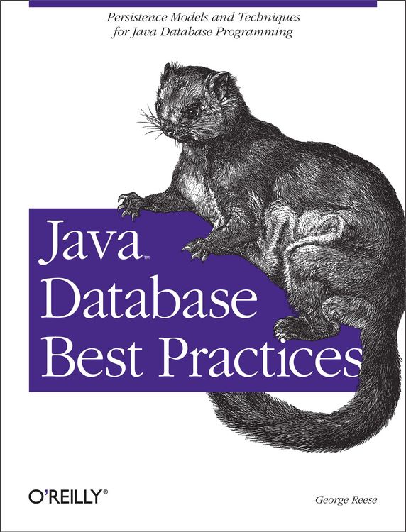 Produktbild: Java Database Best Practices