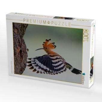 Produktbild: CALVENDO Puzzle Ein Motiv aus dem Kalender Wiedehopf | 1000 Teile Lege-Gr&ouml;&szlig;e 64x48cm Foto-Puzzle f&uuml;r gl&uuml;ckliche Stunden