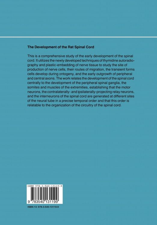 Produktbild: The Development of the Rat Spinal Cord