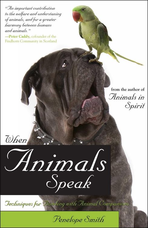 Produktbild: When Animals Speak
