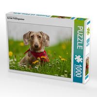 Produktbild: CALVENDO Puzzle Auf der Fr&uuml;hlingswiese | 1000 Teile Lege-Gr&ouml;&szlig;e 64x48cm Foto-Puzzle f&uuml;r gl&uuml;ckliche Stunden