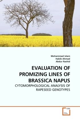 Produktbild: Islam, M: Evaluation Of Promizing Lines Of Brassica Napus